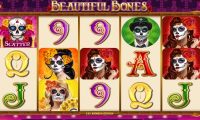 beautiful-bones thumbnail