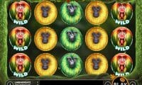 7 Monkeys thumbnail