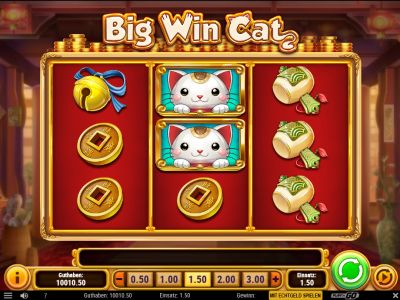 big-win-cat