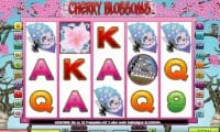 Cherry Blossoms thumbnail