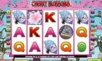 Cherry Blossoms thumbnail