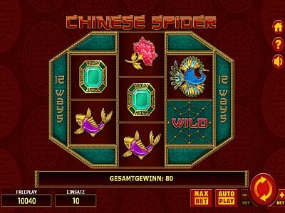 chinese-spider