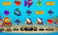 golden-fish-tank thumbnail