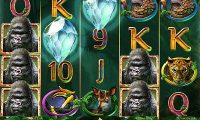 gorilla-kingdom thumbnail