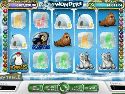 Icy Wonders