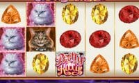 Pretty Kitty thumbnail