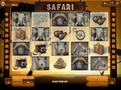 Safari