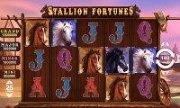 stallion-fortunes thumbnail