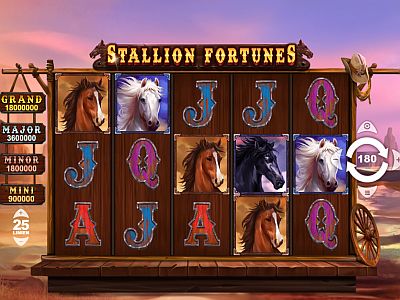 stallion-fortunes
