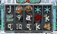 Tiger vs Bear thumbnail
