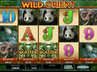 Wild Orient