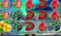 Winterberries thumbnail