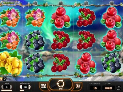 Winterberries